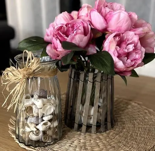 Apartment 5 Min Des Plages - Appt 2 A Casa Bella Lucciana (Corsica)