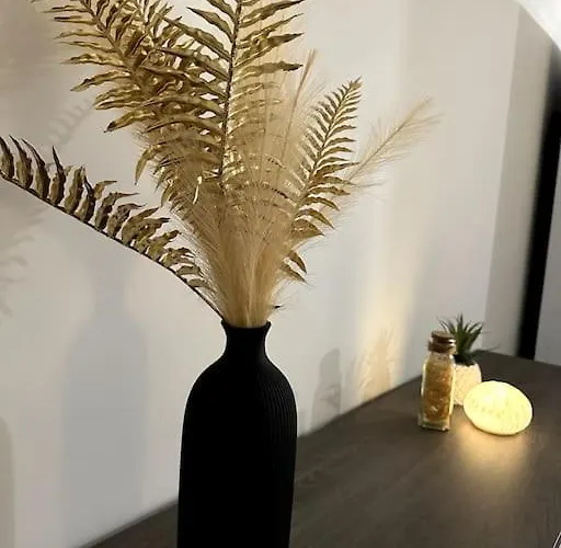 5 Min Des Plages - Appt 2 A Casa Bella *